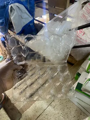 Disposable Egg Trays for 15 and 6pcs