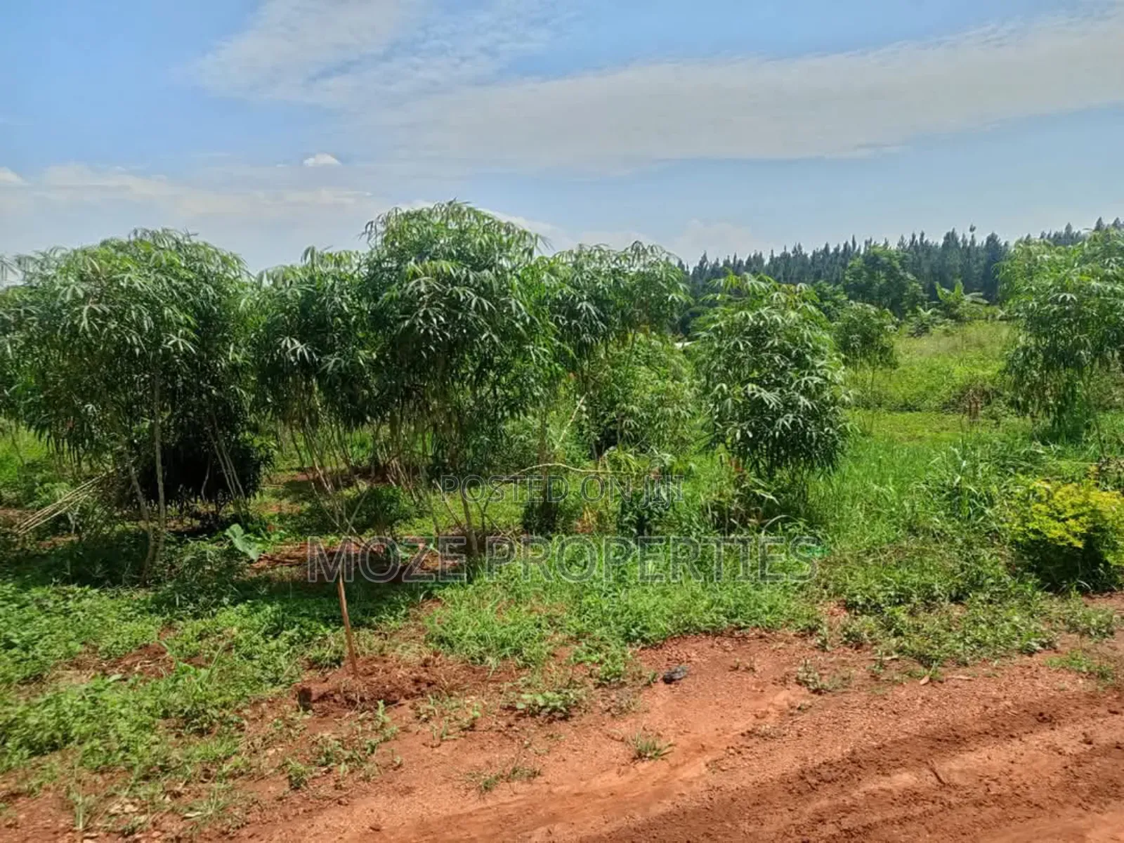 50by100 Plot for Sale in Nakasaja Gayaza