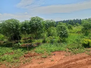 50by100 Plot for Sale in Nakasaja Gayaza