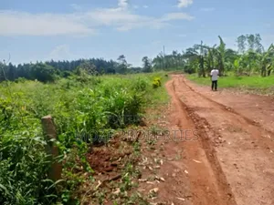 50by100 Plot for Sale in Nakasaja Gayaza