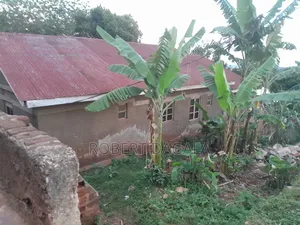 6bdrm House in Jinja for sale