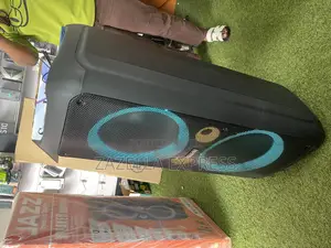 Saachi 12” Professional Battery Speaker