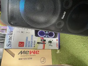 Saachi 12” Professional Battery Speaker