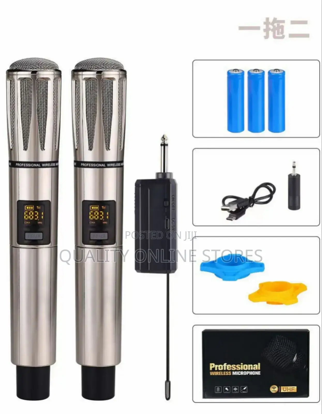 Double Wireless Microphone