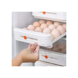 Multifunctional 2-Layer Stackable Refrigerator Egg Tray