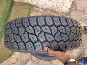 235/65r18 All Terrian Tires for Harrier.