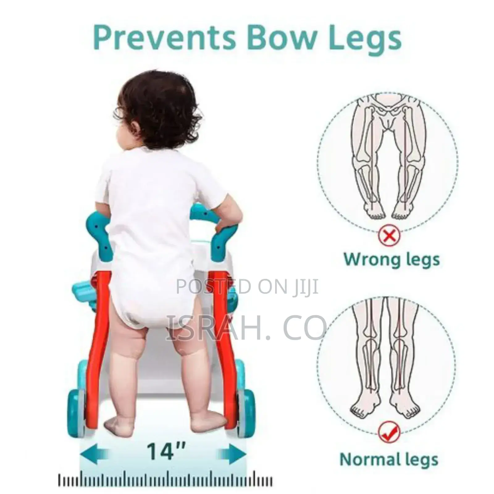 2 in 1 Baby Walker Sit to Stand Up Learning