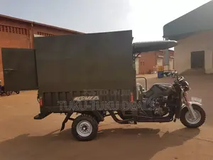 New Tricycle 2024 Green