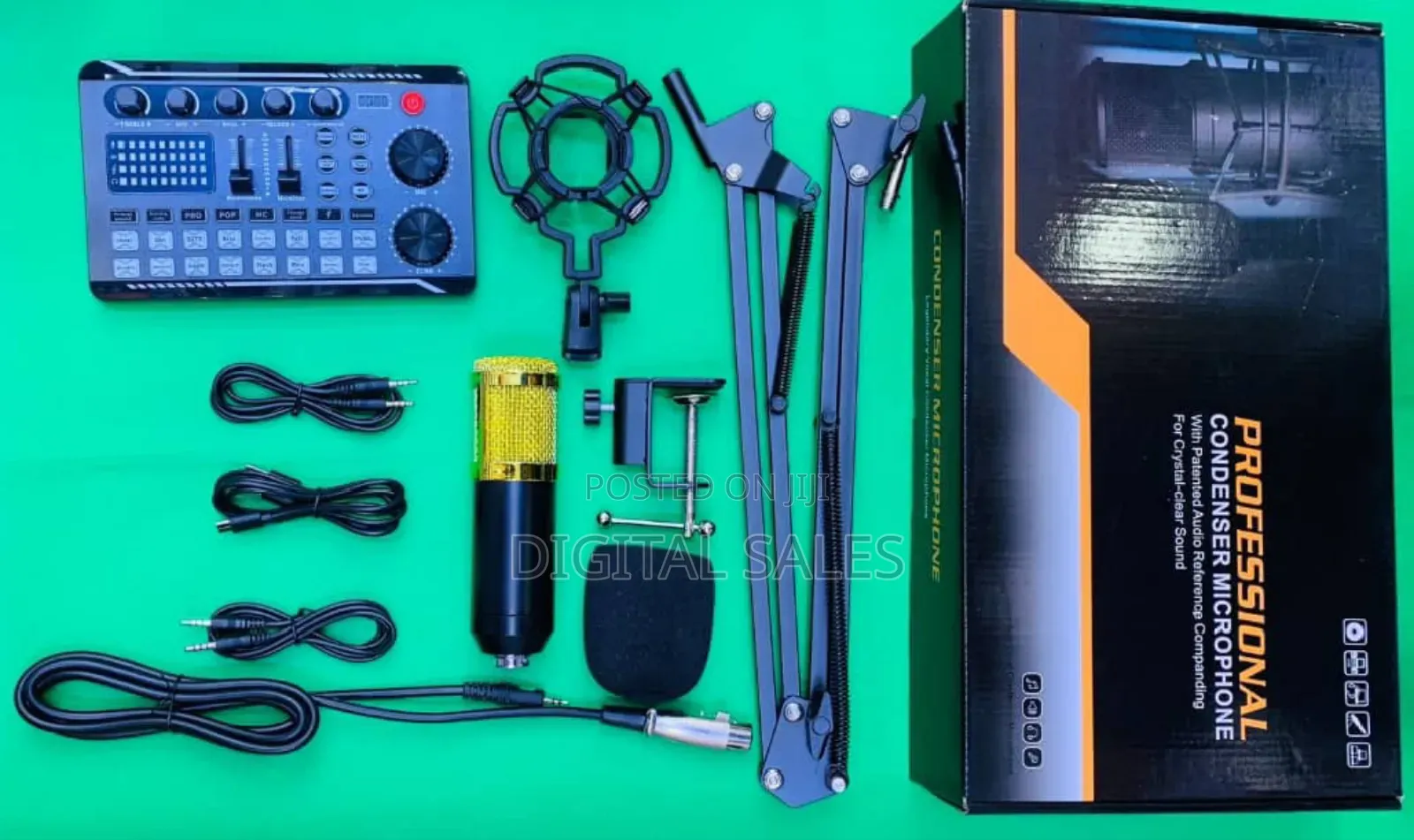 Professional Recording Studio Condenser Mic and Soundcard
