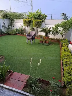 Majestic Compound Decor