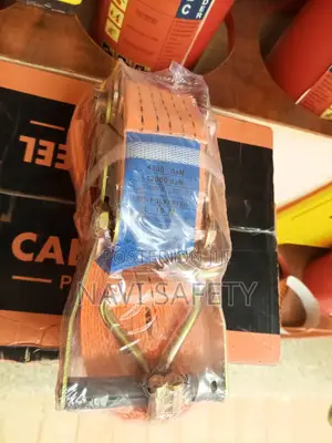 Cargo Belt
