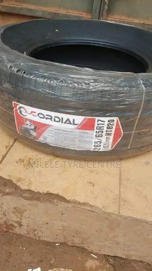 265/65r17 Cordial