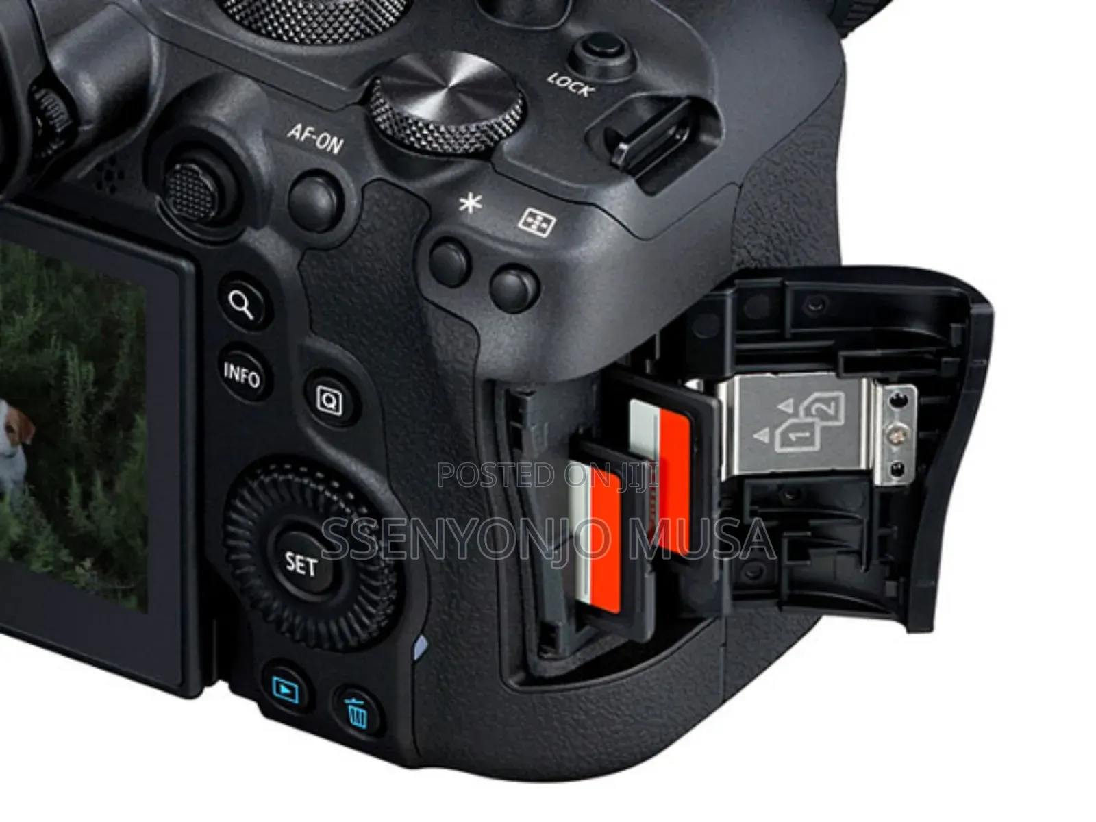 Canon Eos R6 Full-Frame Mirrorless Camera With Rf24-105mm