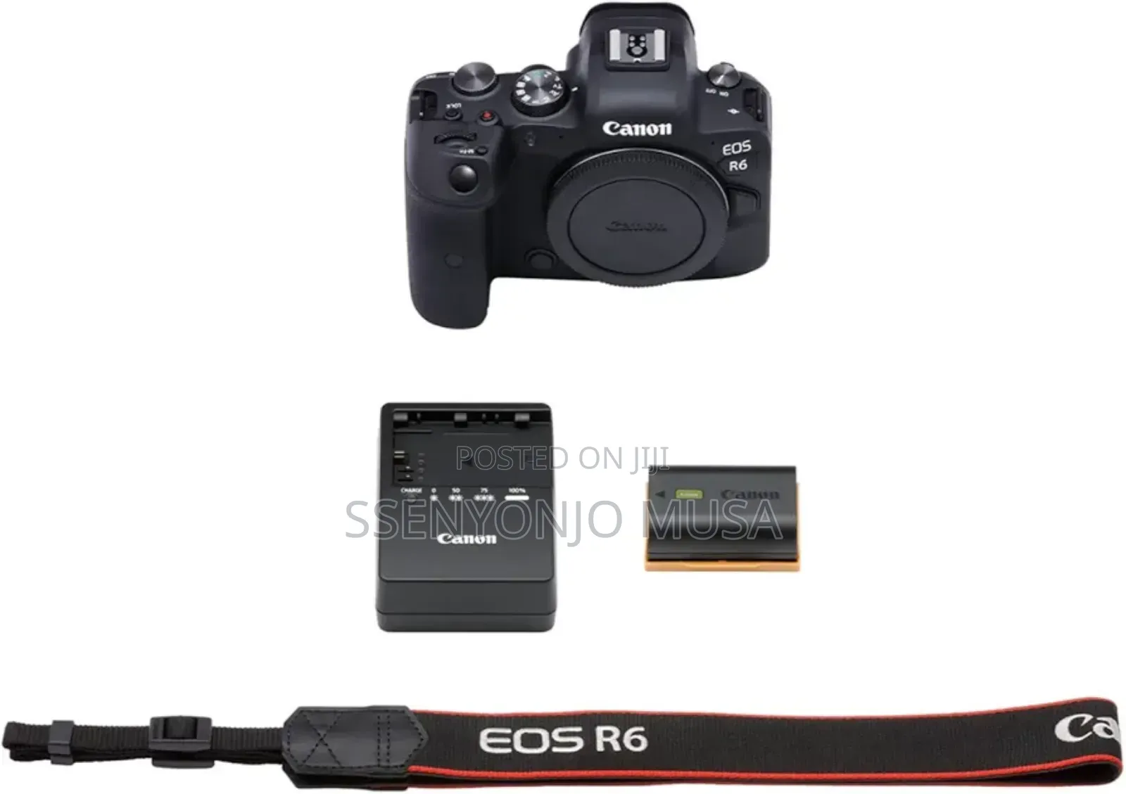 Canon Eos R6 Full-Frame Mirrorless Camera With Rf24-105mm