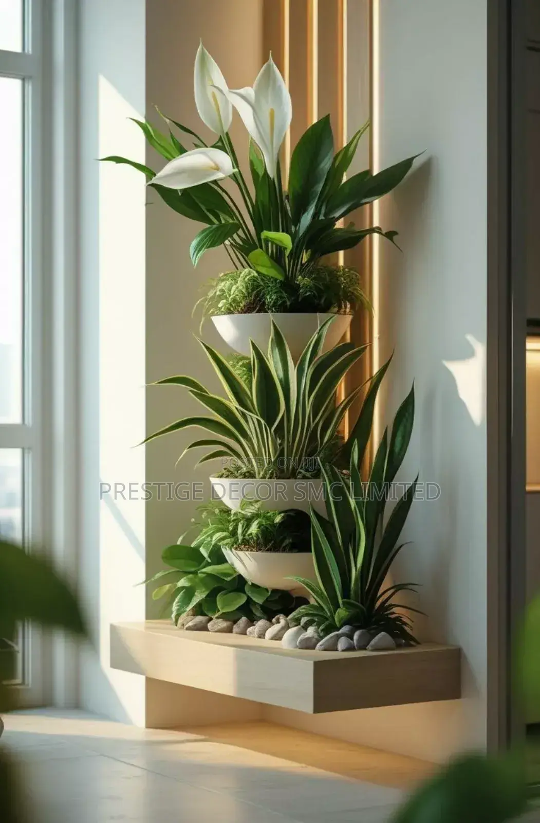 Plants and Pots Amazing Design. .