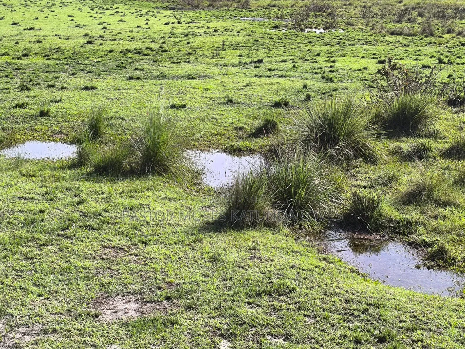 Beach Land Touching Water 300 Acres Masaka Kalisizo