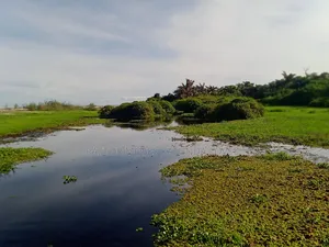 Beach Land Touching Water 300 Acres Masaka Kalisizo
