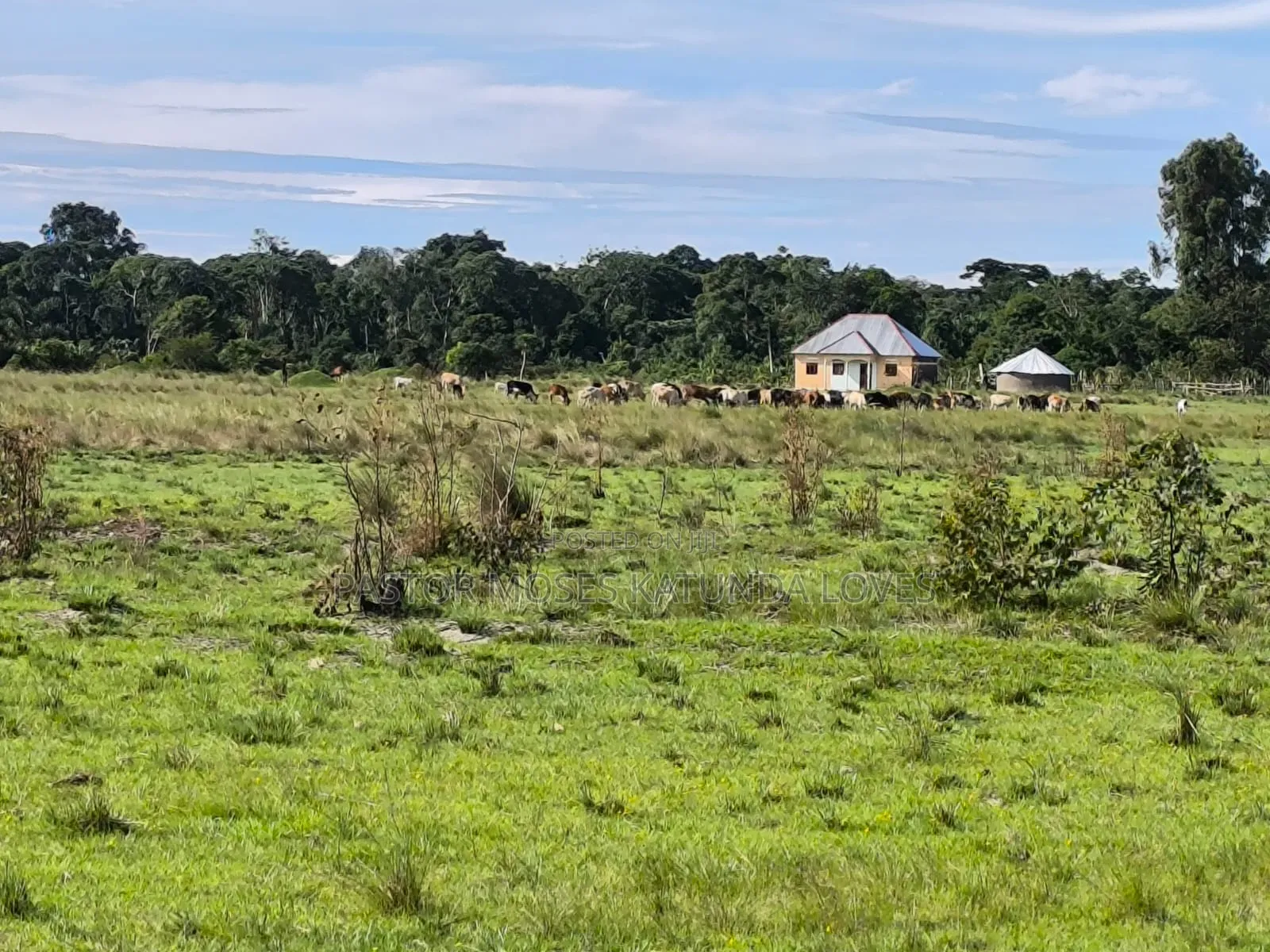 Beach Land Touching Water 300 Acres Masaka Kalisizo
