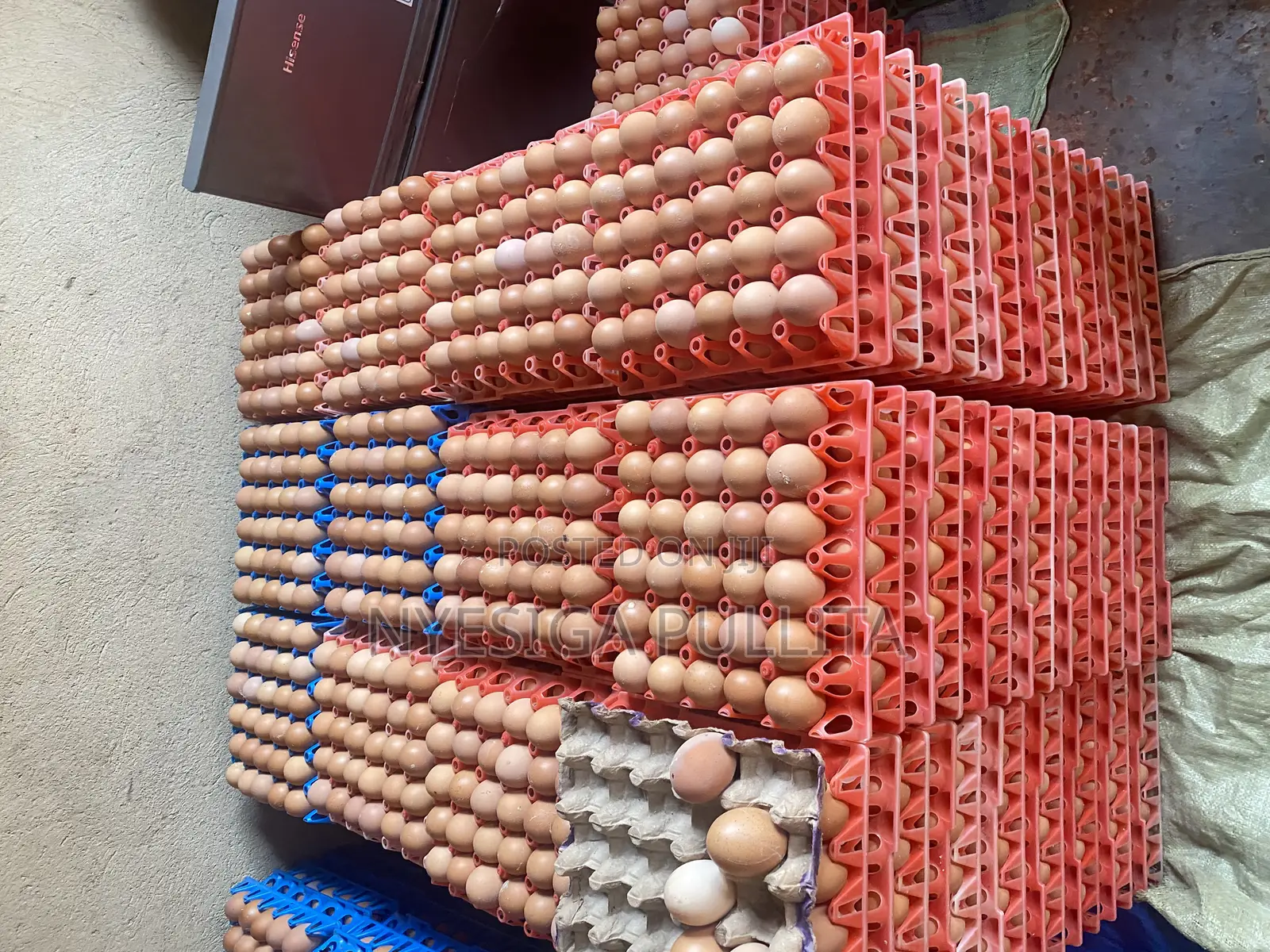 Fresh Eggs