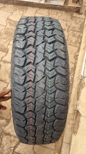 Photo - 225/65r17 Wild Wolf a/T