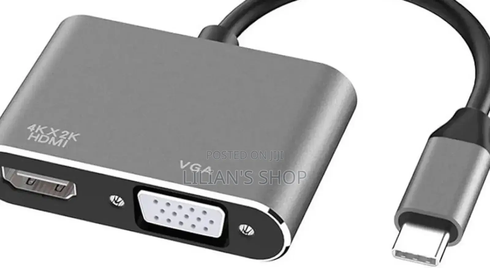 2 in 1 Usb 3.1 Type C to Vga Hdmi Video Converter