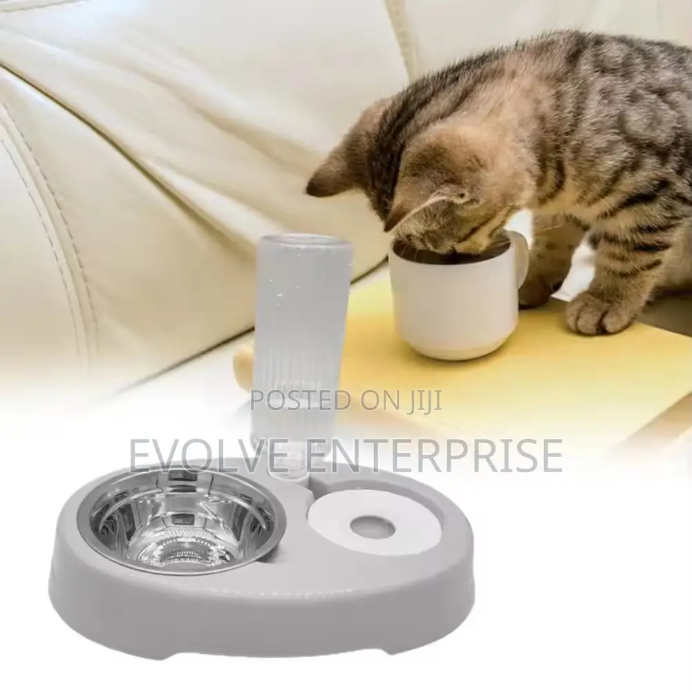 Pet Cat Bowl Automatic Feeder Water Dispenser