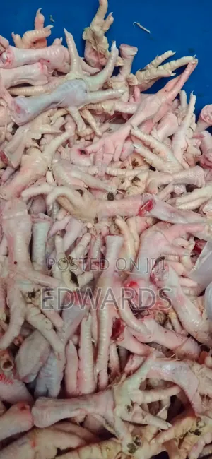 Photo - Chicken for Dogs