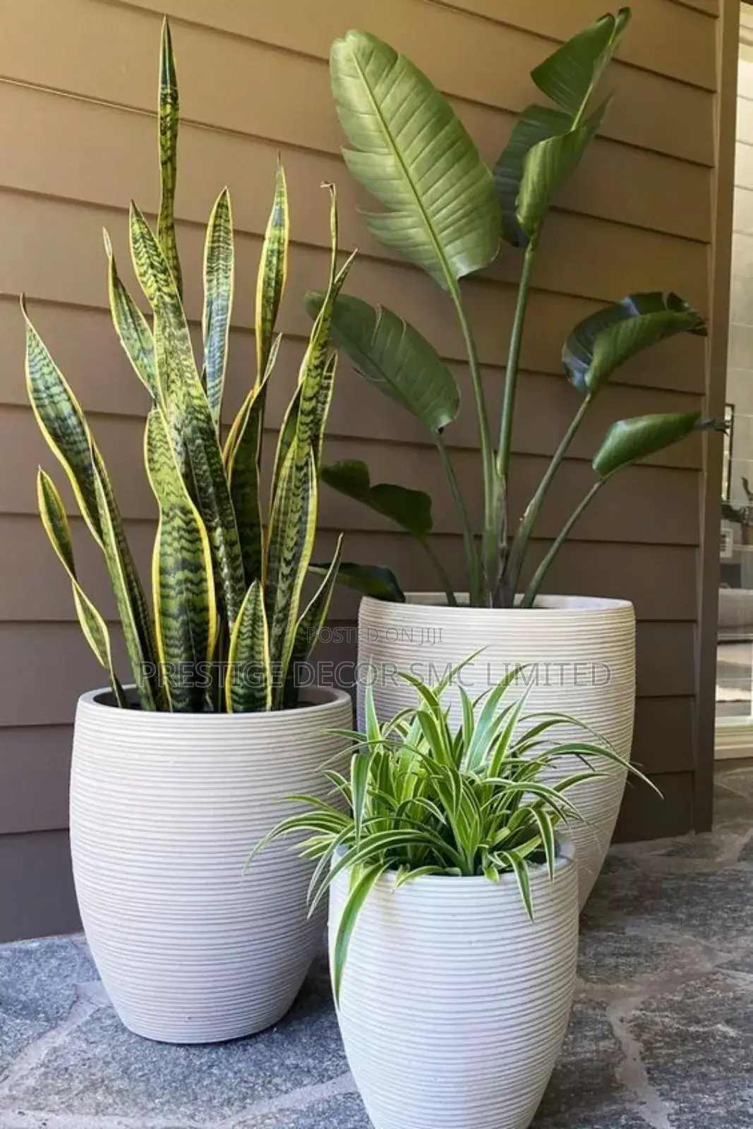 Beautiful Iconic Floating Amazing Pots
