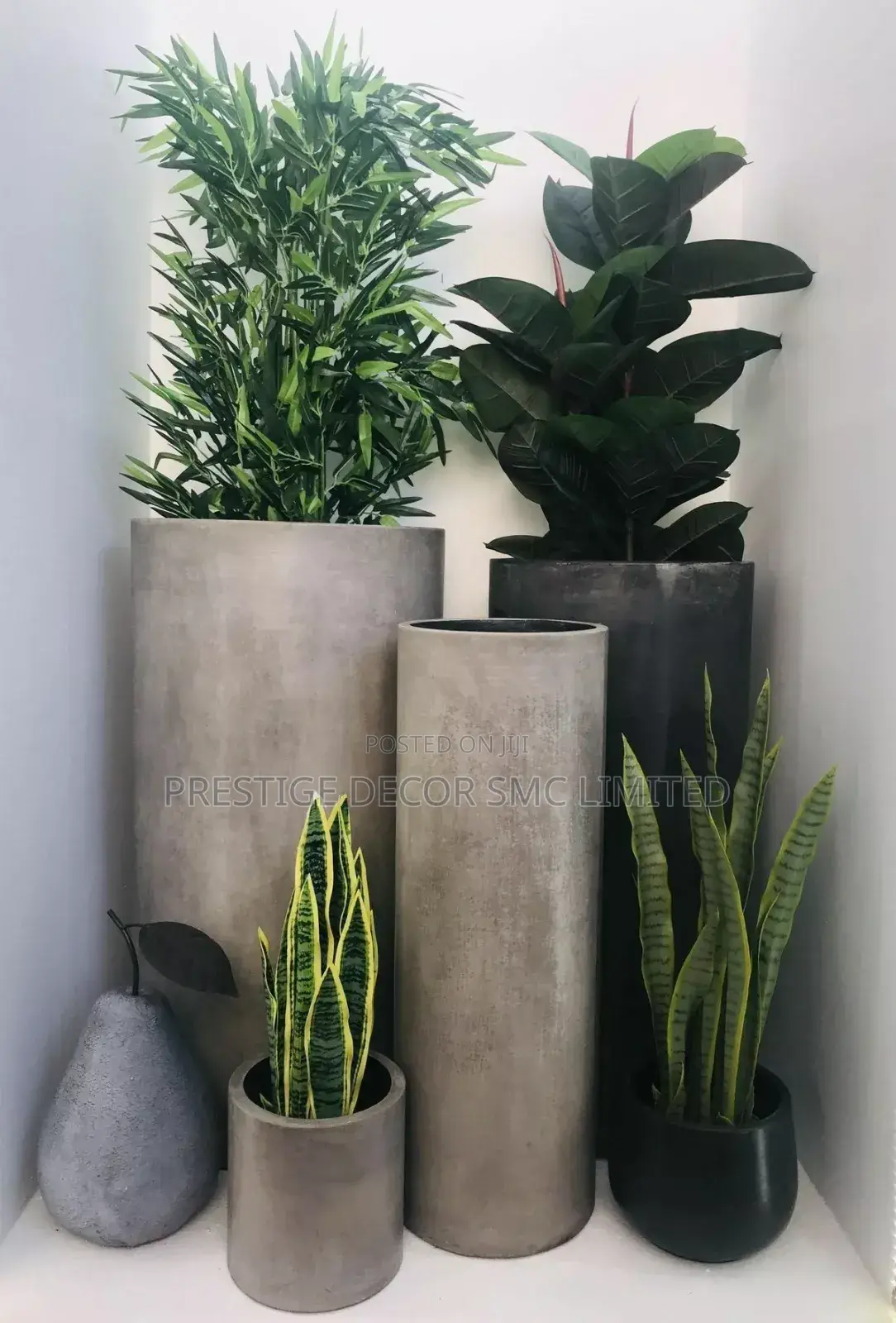 Unique Plants en Pots Majestic Design. Ll