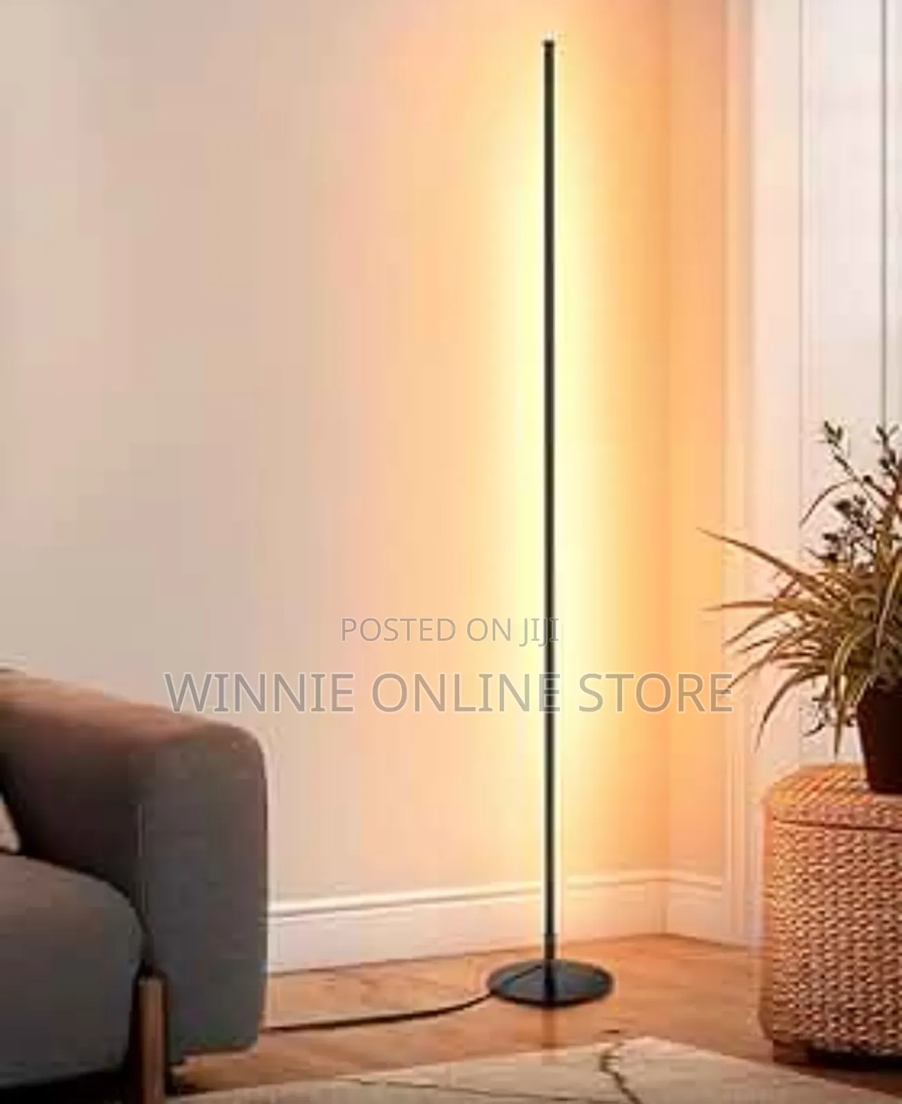 Led Modern Floor Lamp