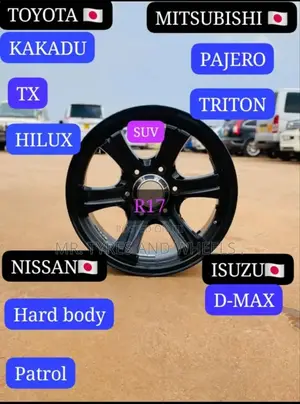It's Size 17 Suv and It Works 2 Many Cars as You See Them.