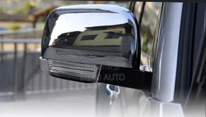 Rear View Mirrors