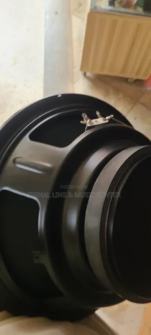 Woofer Speaker 12inch 65.5 Cm Necked for Top 12inch