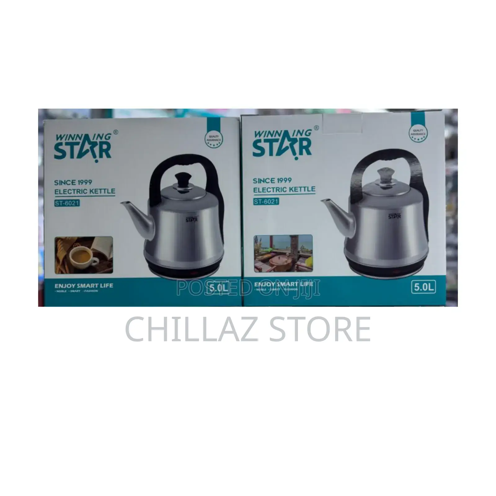 Winning Star High Quality Cordless Electric Kettle.