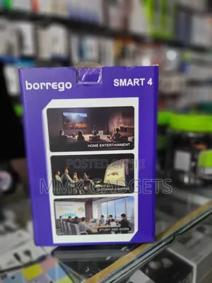 Borrego Smart 4