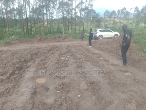 Photo - Kibanja for Sale