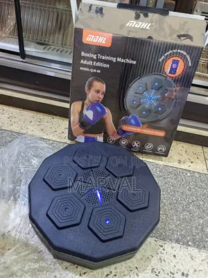Boxing Training Machine