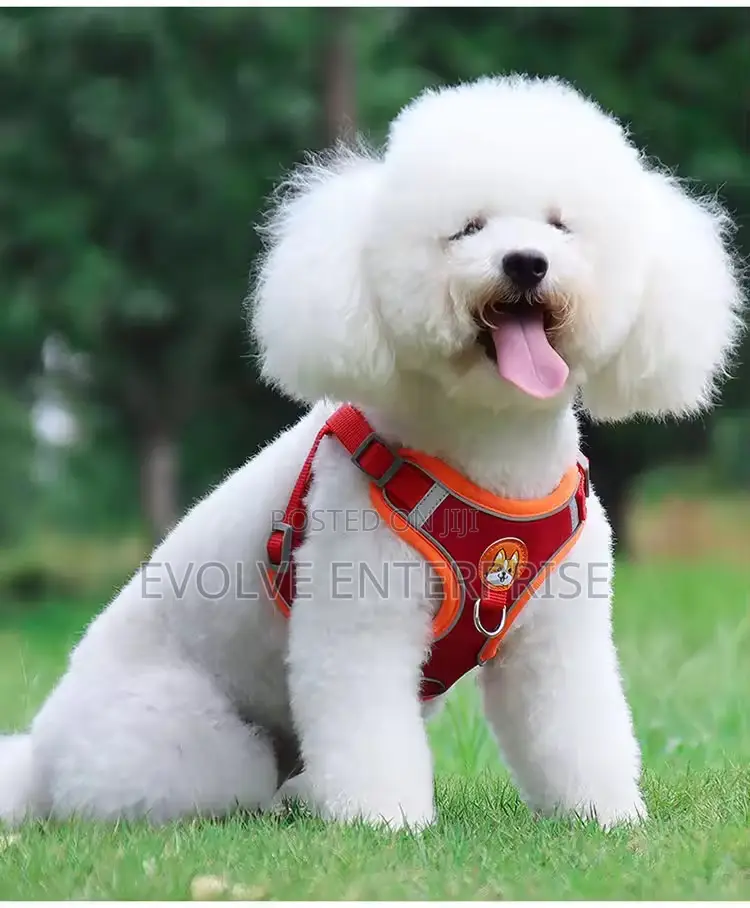 Dog Reflective Harness Dog Leash