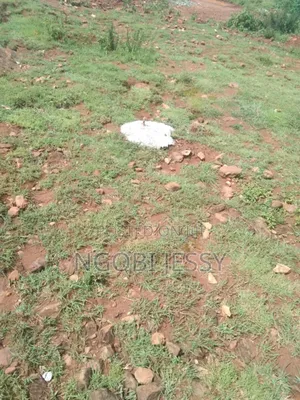 Jinja Lake View Njeru 3 Acres of Land for Sale at 300m