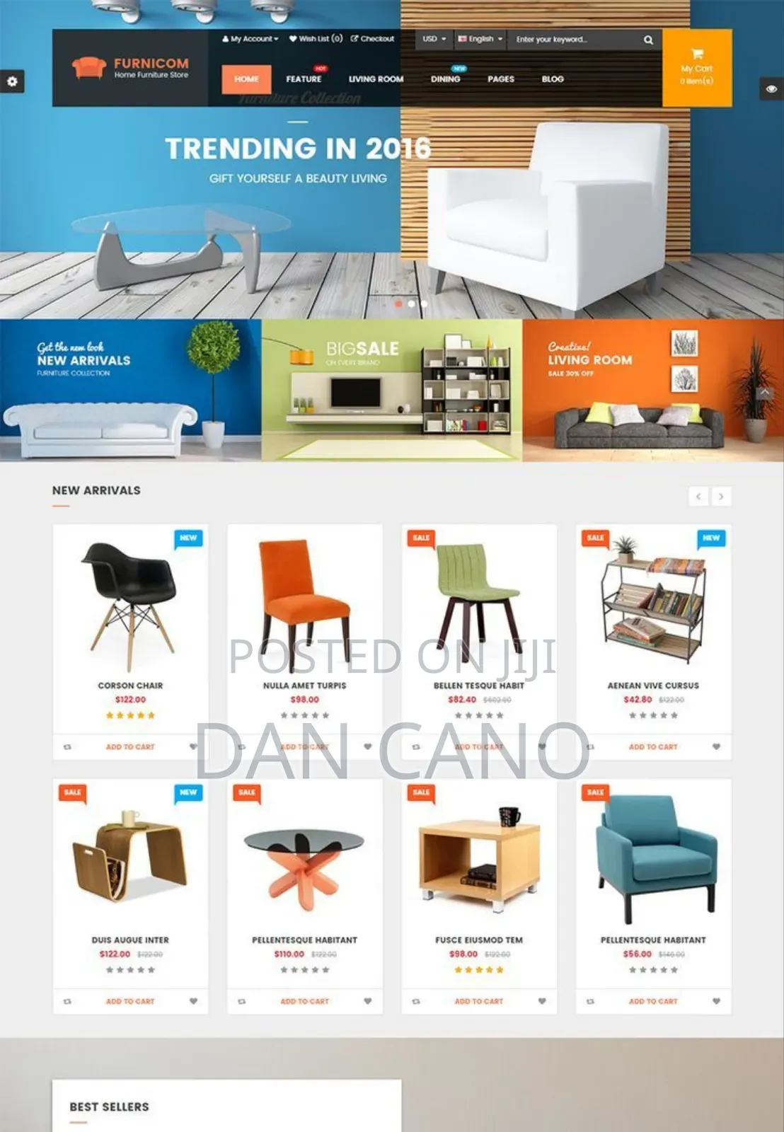 Online Store Web Design With Domain Name Registration