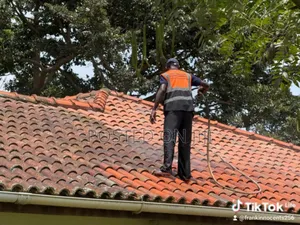 Roof Tile Cleaning Services