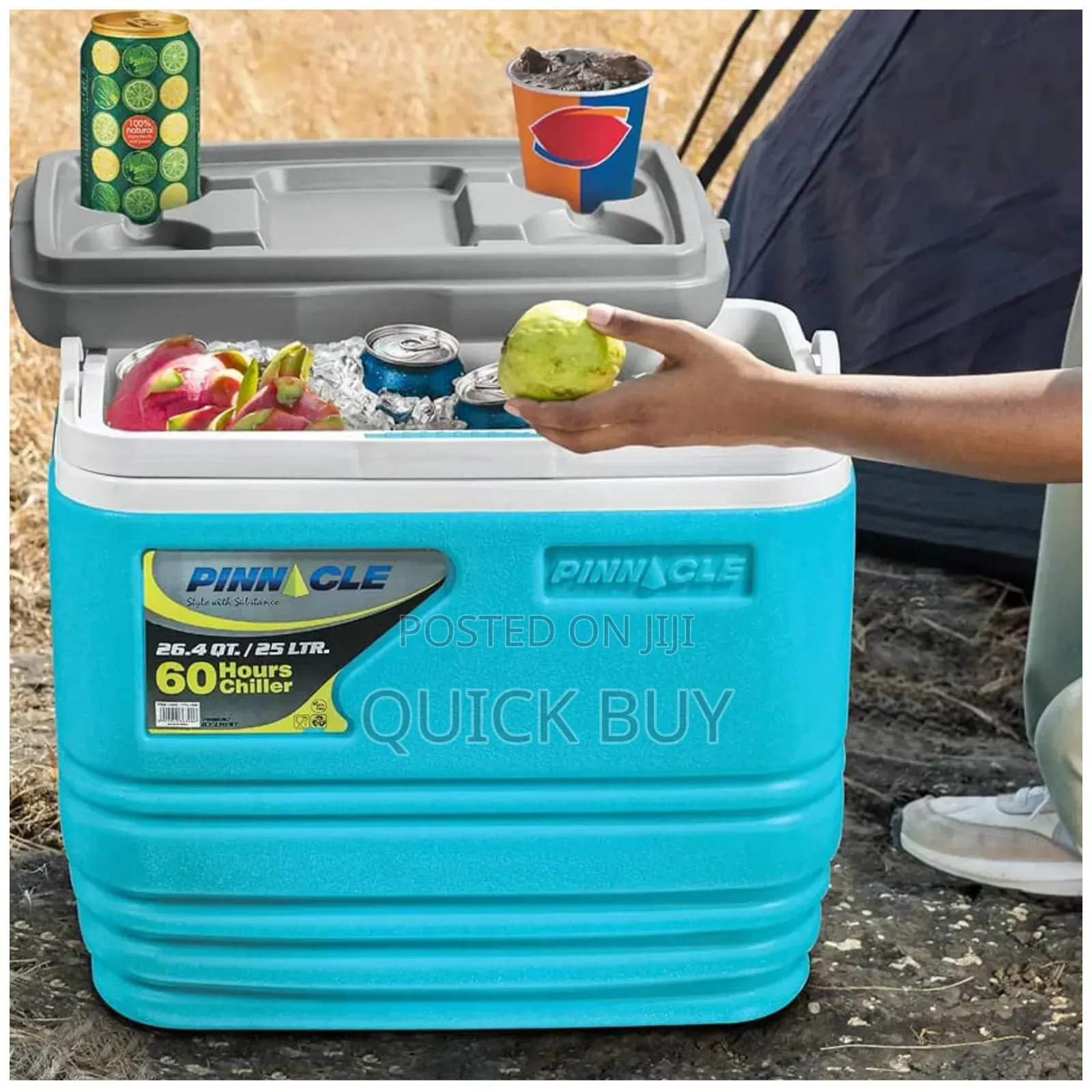 25l Pinnacle Insulated Water Cooler Ice Chiller Box