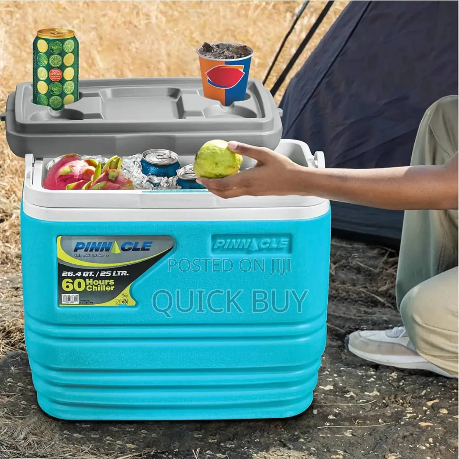 25l Pinnacle Insulated Water Cooler Ice Chiller Box