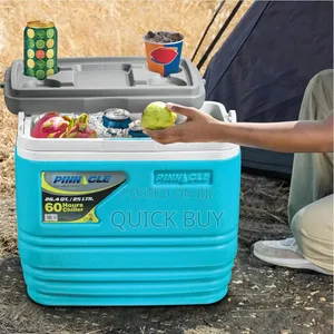 25l Pinnacle Insulated Water Cooler Ice Chiller Box