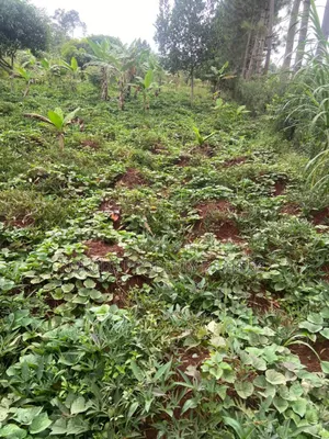 Photo - Plot for Sale in Mukono Nakisunga