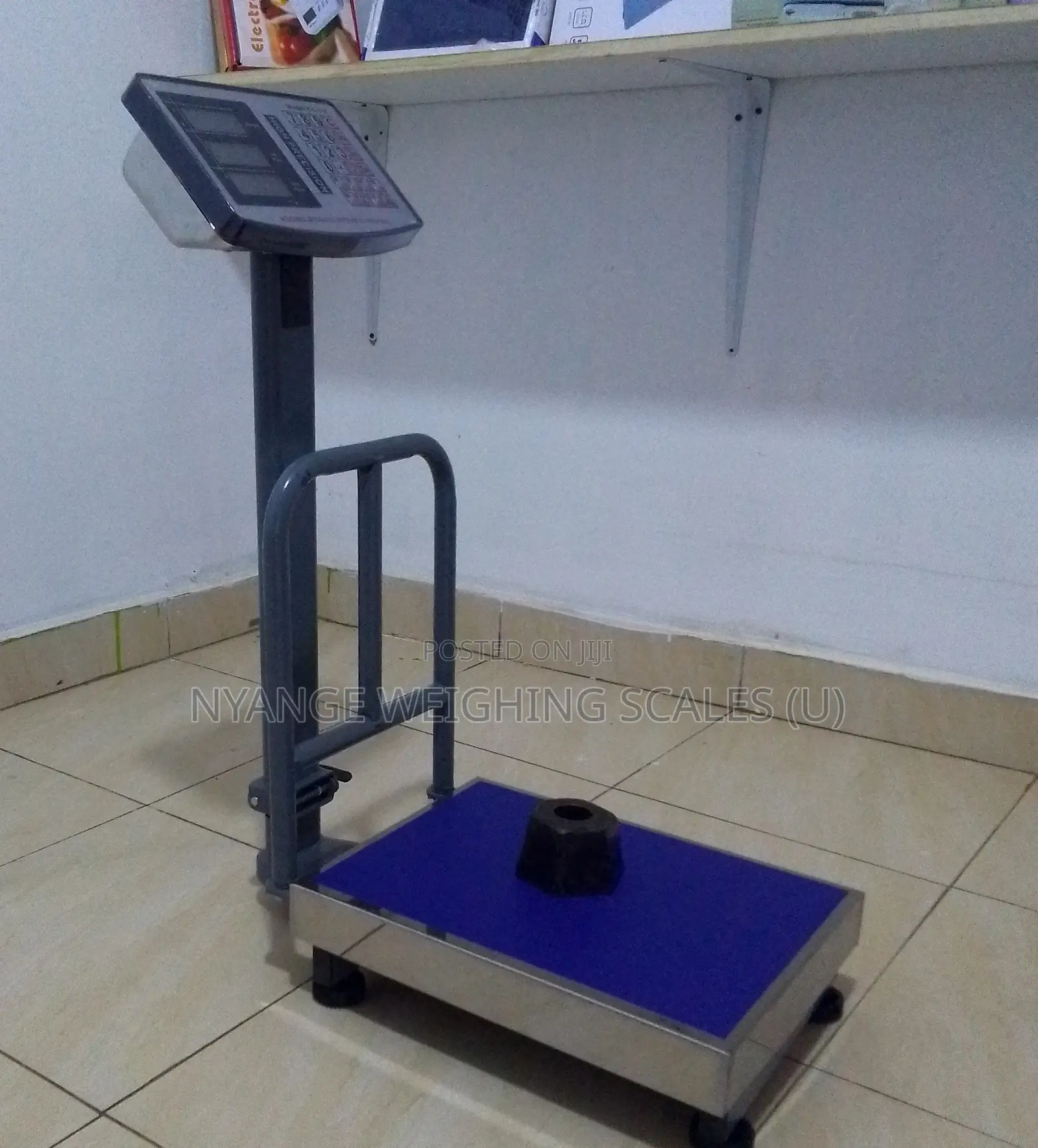 Nutrition Food Weighing Scale Platform Weigh 200kg Mini Weighing Scale