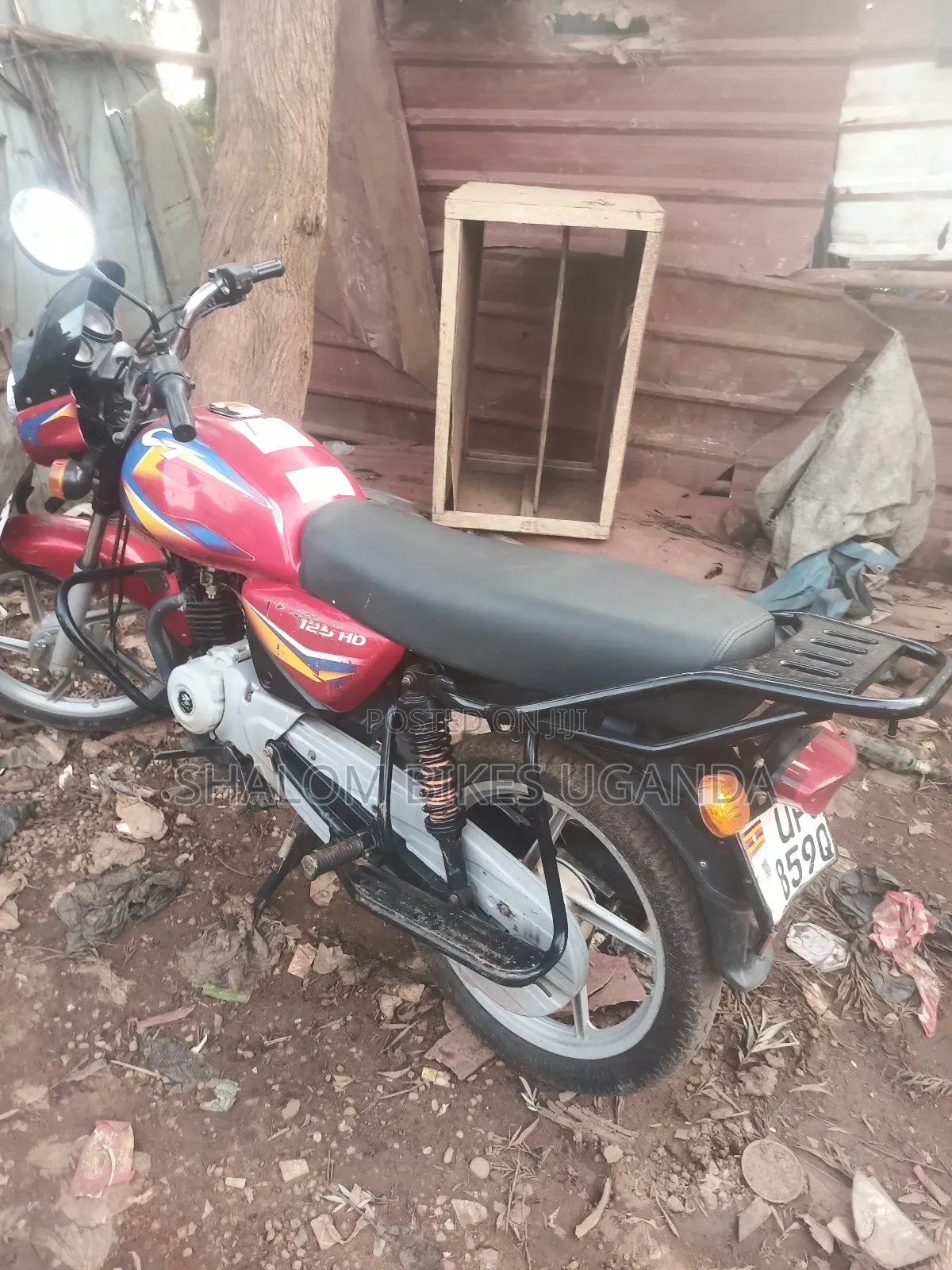 Bajaj CT 110X 2024 Red