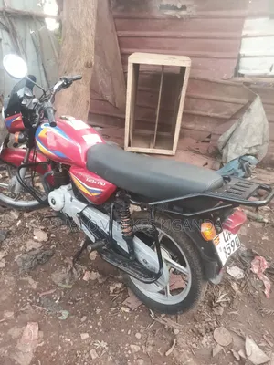 Bajaj CT 110X 2024 Red