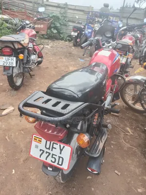 Bajaj CT 110X 2024 Red