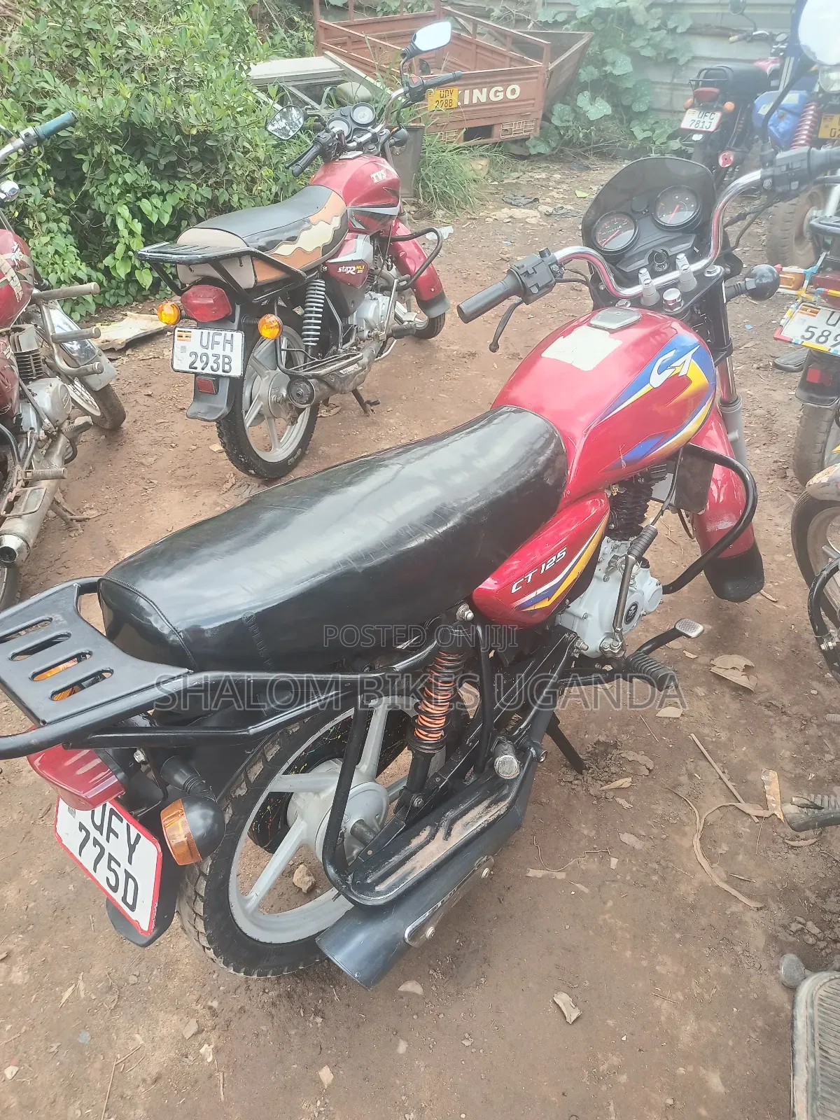 Bajaj CT 110X 2024 Red